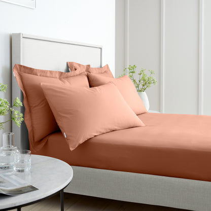 Bianca 200TC Cotton Percale Fitted Sheet - Clay