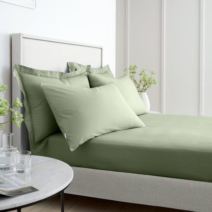 Bianca 200TC Cotton Percale Fitted Sheet - Sage