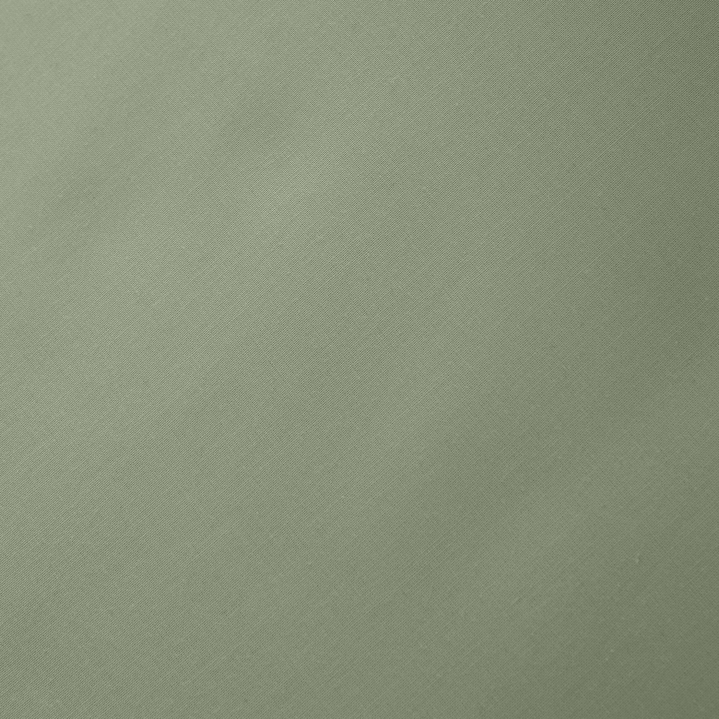 Bianca 200TC Cotton Percale Fitted Sheet - Sage