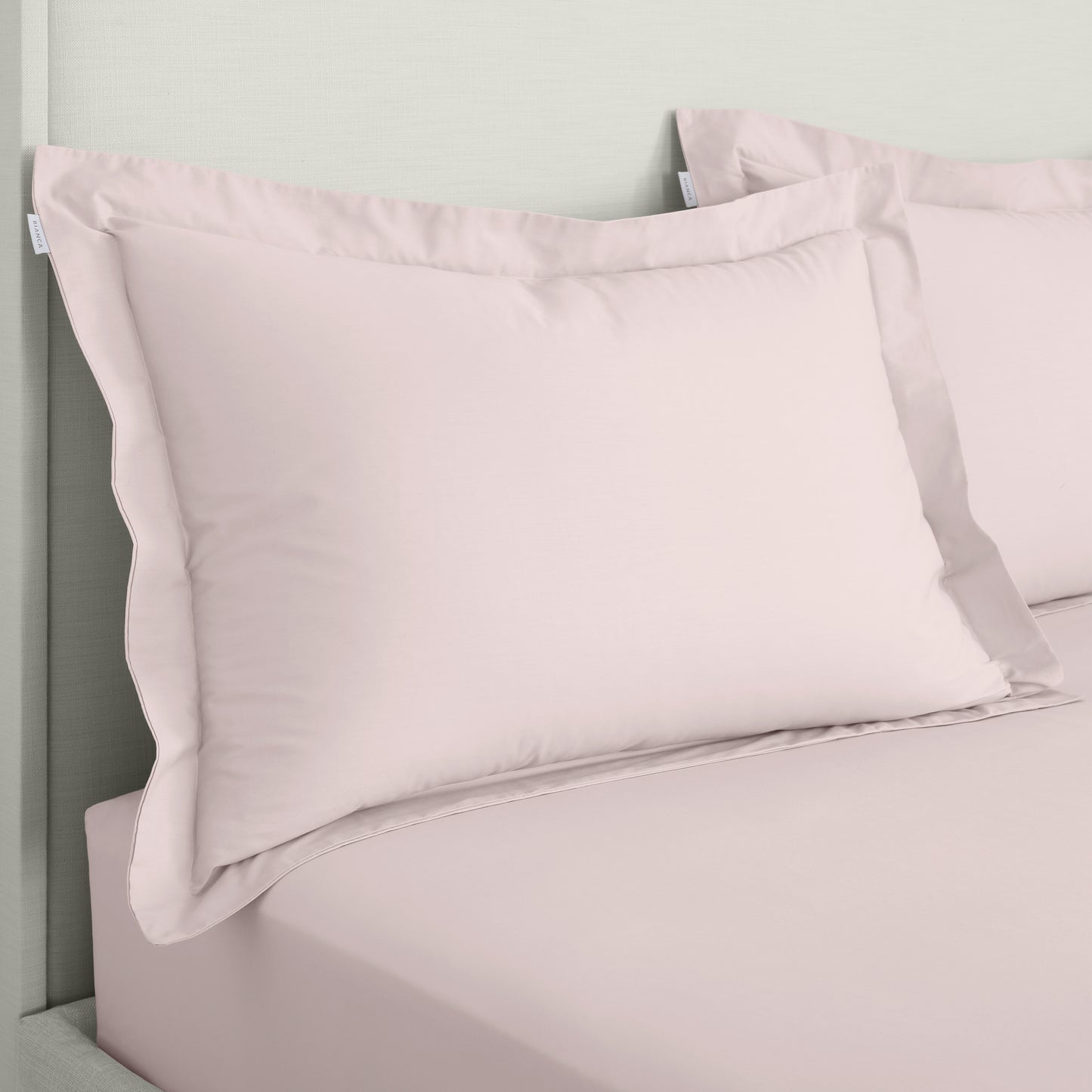 Bianca 200TC Cotton Percale Fitted Sheet - Blush
