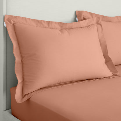 Bianca 200TC Cotton Percale Fitted Sheet - Clay