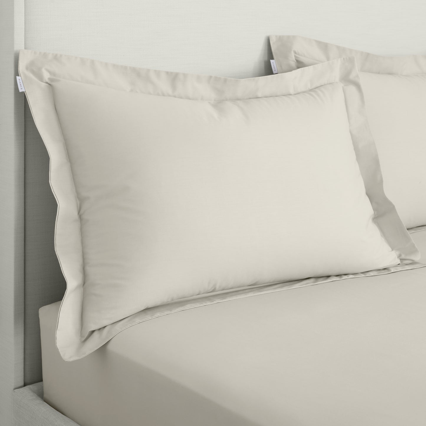 Bianca 200TC Cotton Percale Fitted Sheet - Natural
