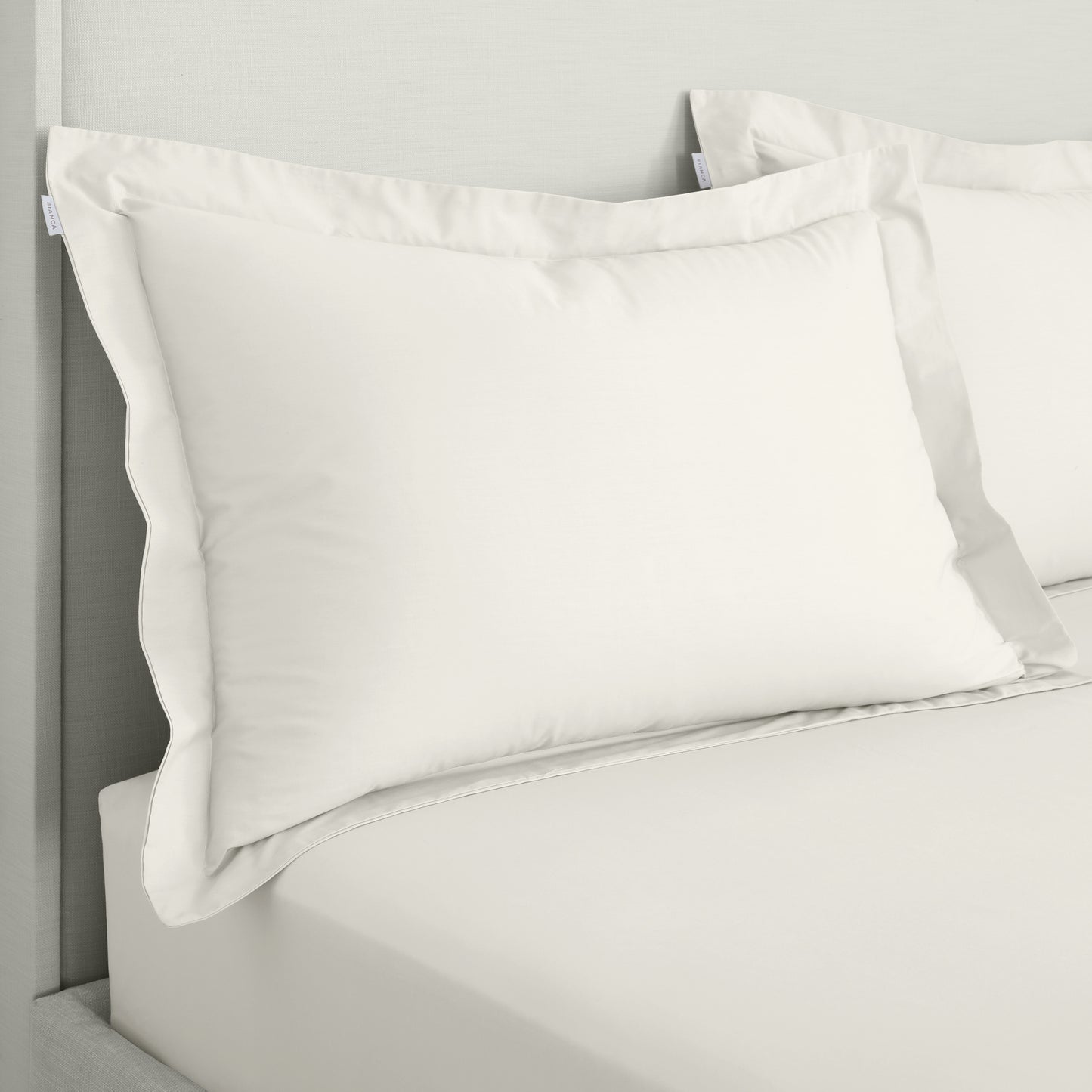 Bianca 200TC Cotton Percale Fitted Sheet - Cream
