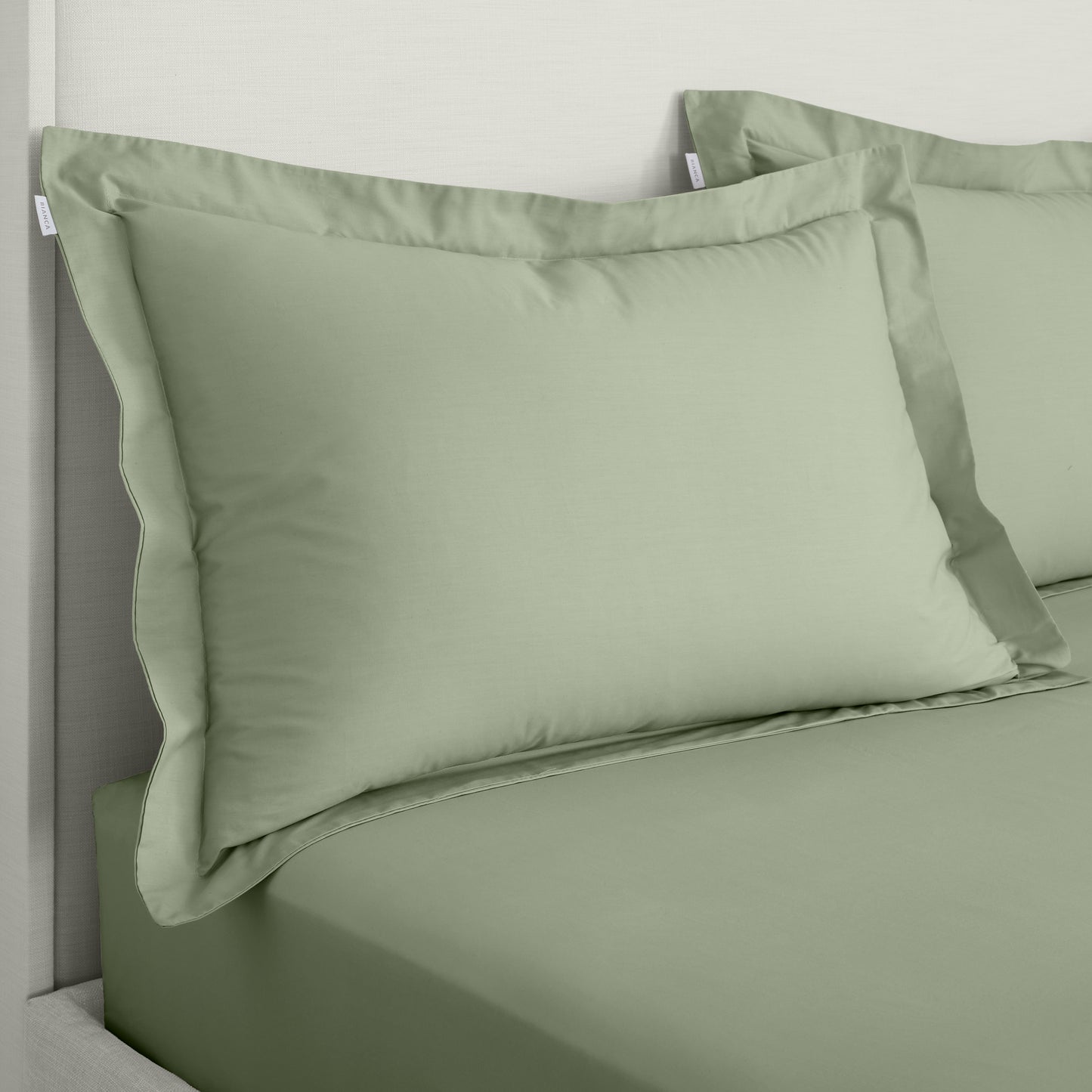 Bianca 200TC Cotton Percale Fitted Sheet - Sage