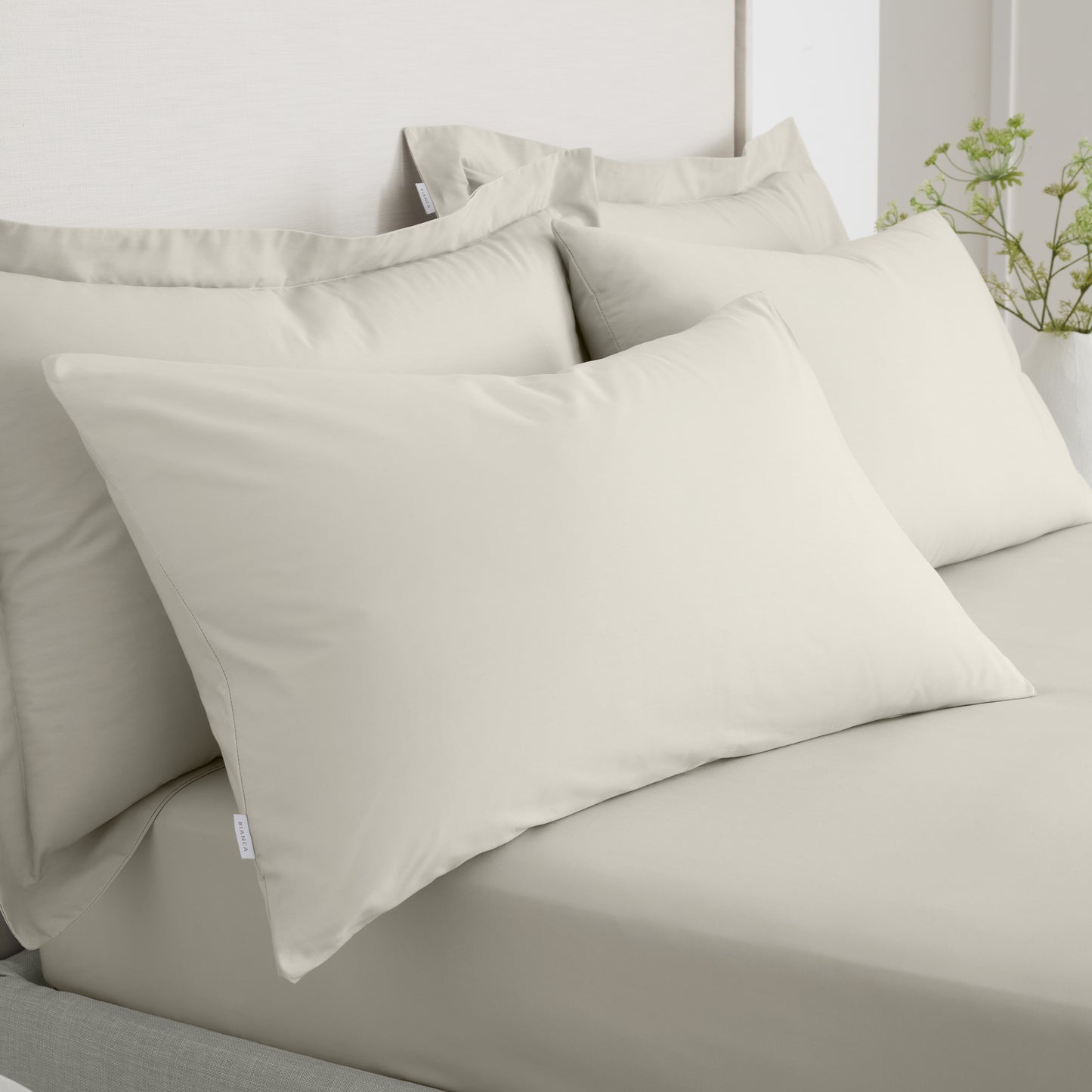 Bianca 200TC Cotton Percale Fitted Sheet - Natural