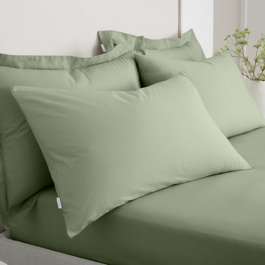 Bianca 200TC Cotton Percale Fitted Sheet - Sage