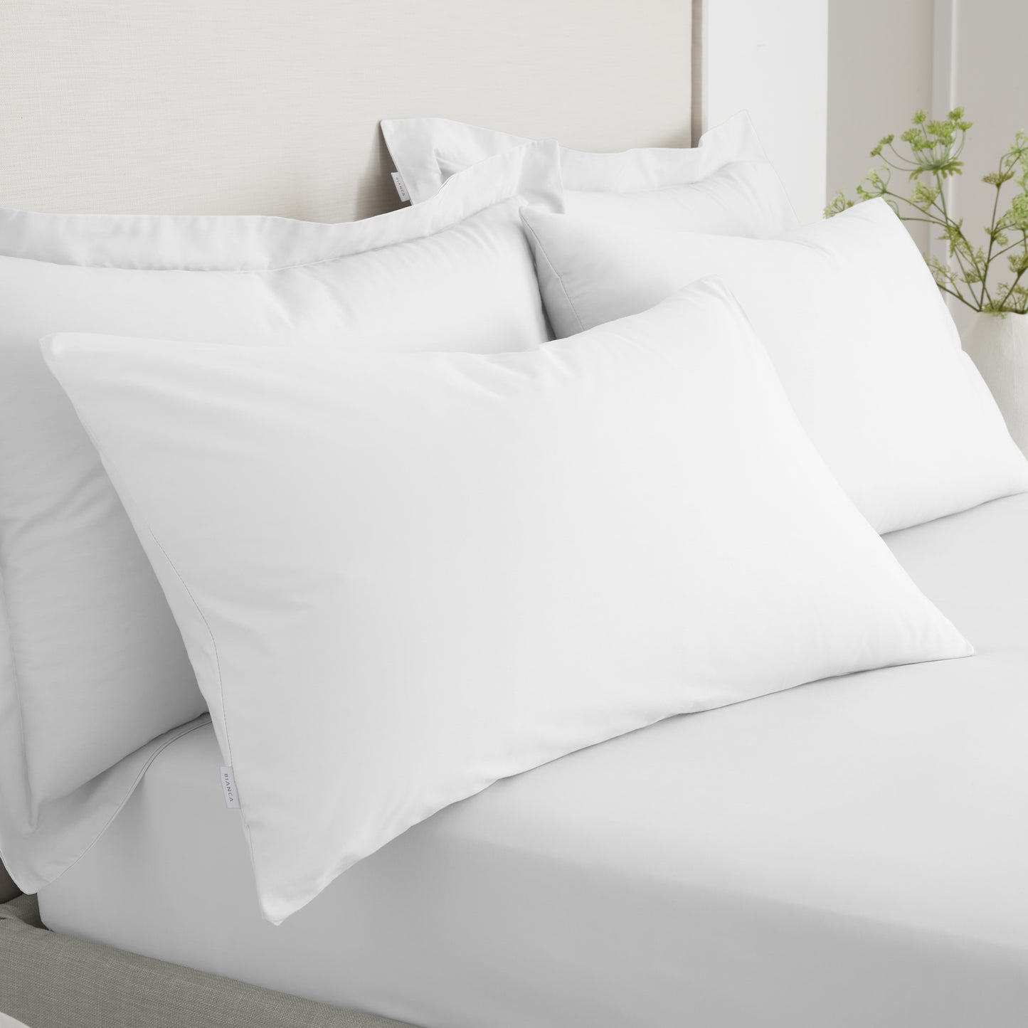 Bianca 200TC Cotton Percale Fitted Sheet - White