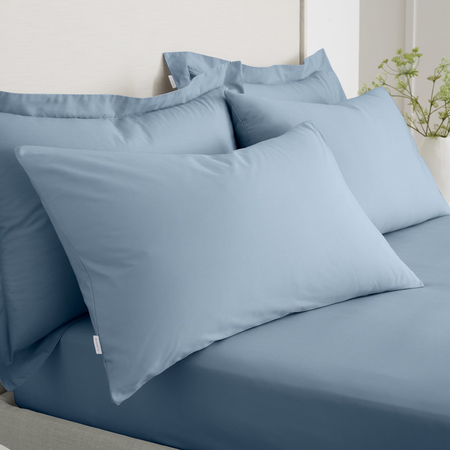 Bianca 200TC Cotton Percale Fitted Sheet - Blue