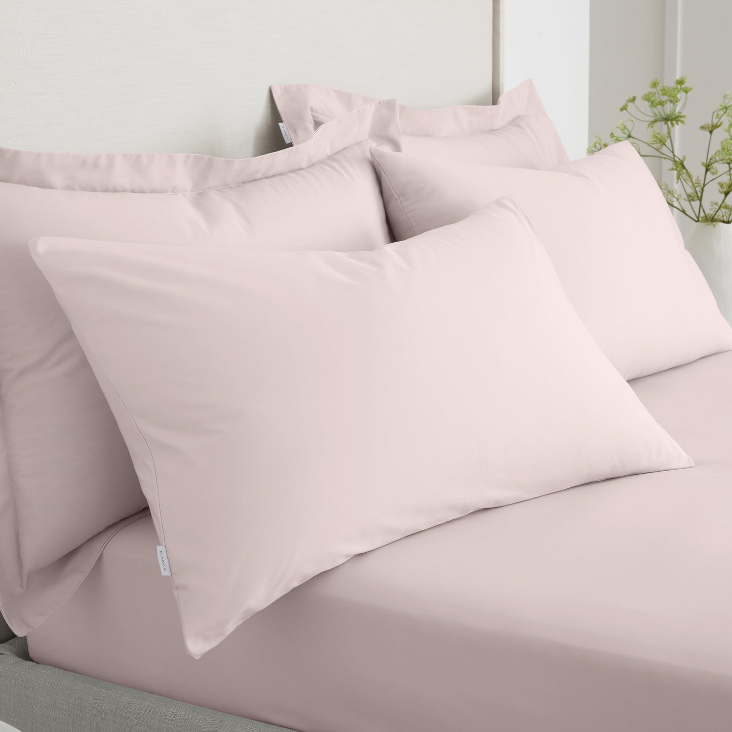 Bianca 200TC Cotton Percale Fitted Sheet - Blush