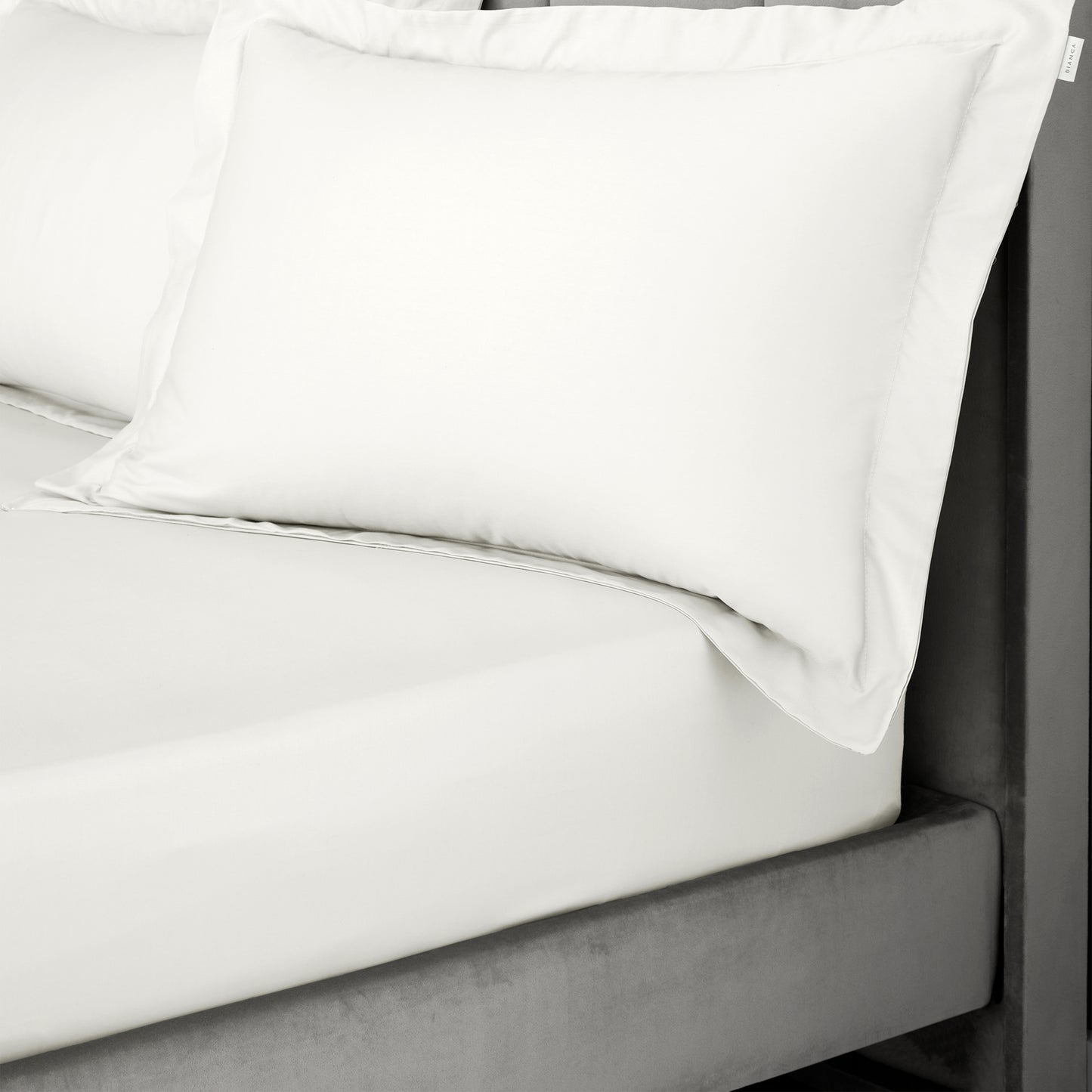 Bianca 400TC Cotton Sateen Fitted Sheet - Ivory