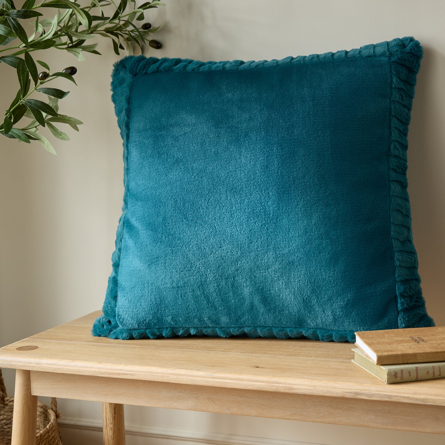 Catherine Lansfield Velvet And Faux Fur Filled Cushion - Teal