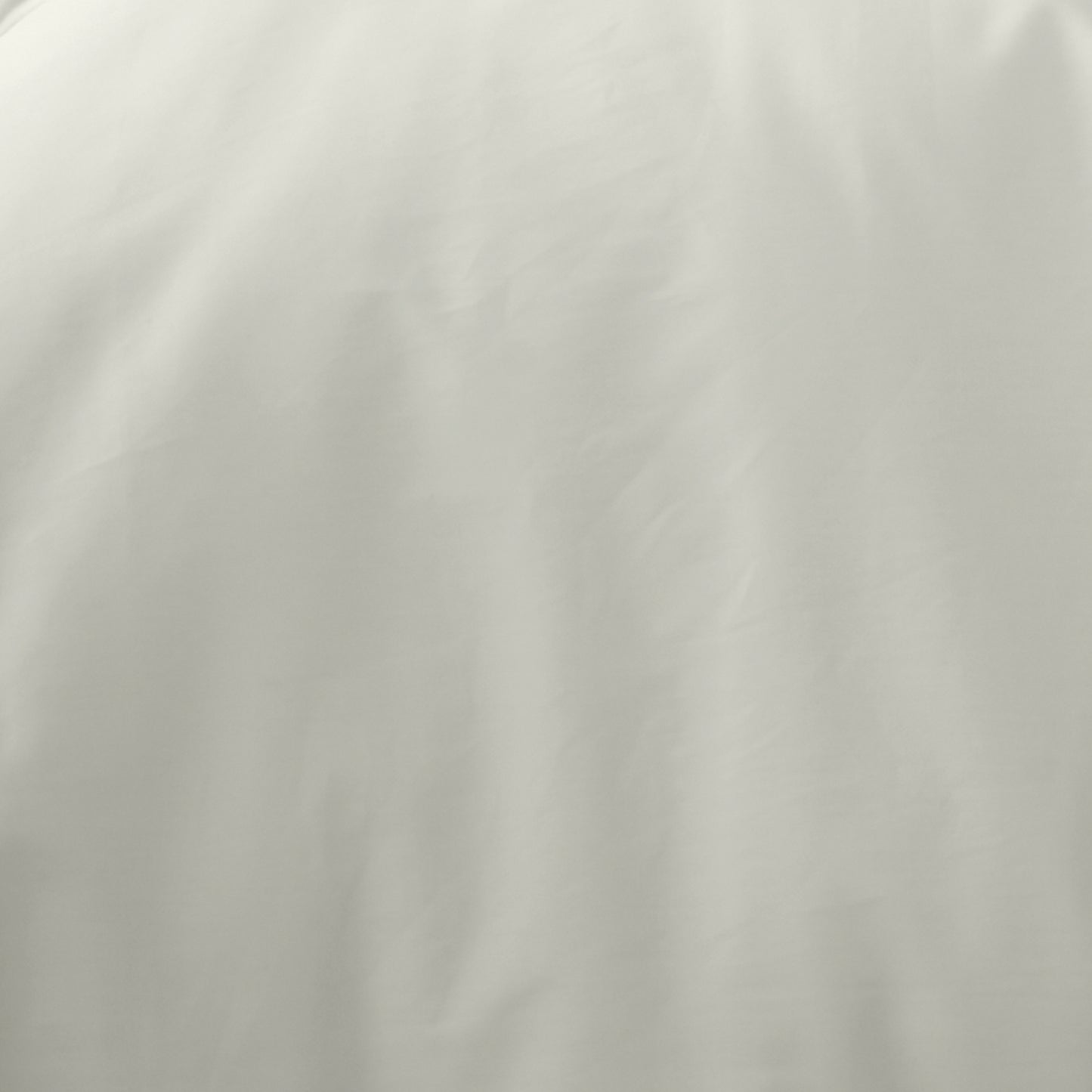 Bianca 180TC Egyptian Cotton Fitted Sheet - Cream