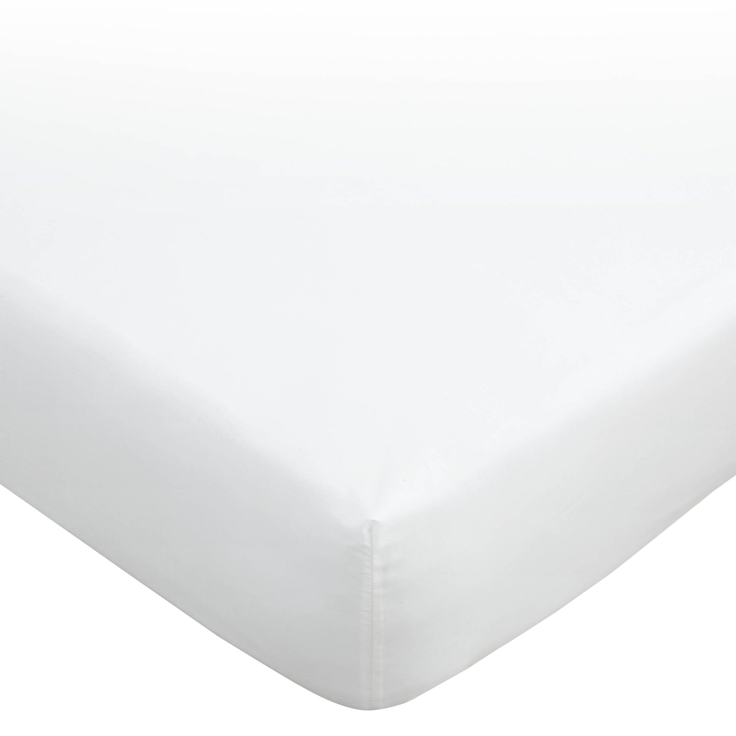 Bianca 180TC Egyptian Cotton Fitted Sheet - White