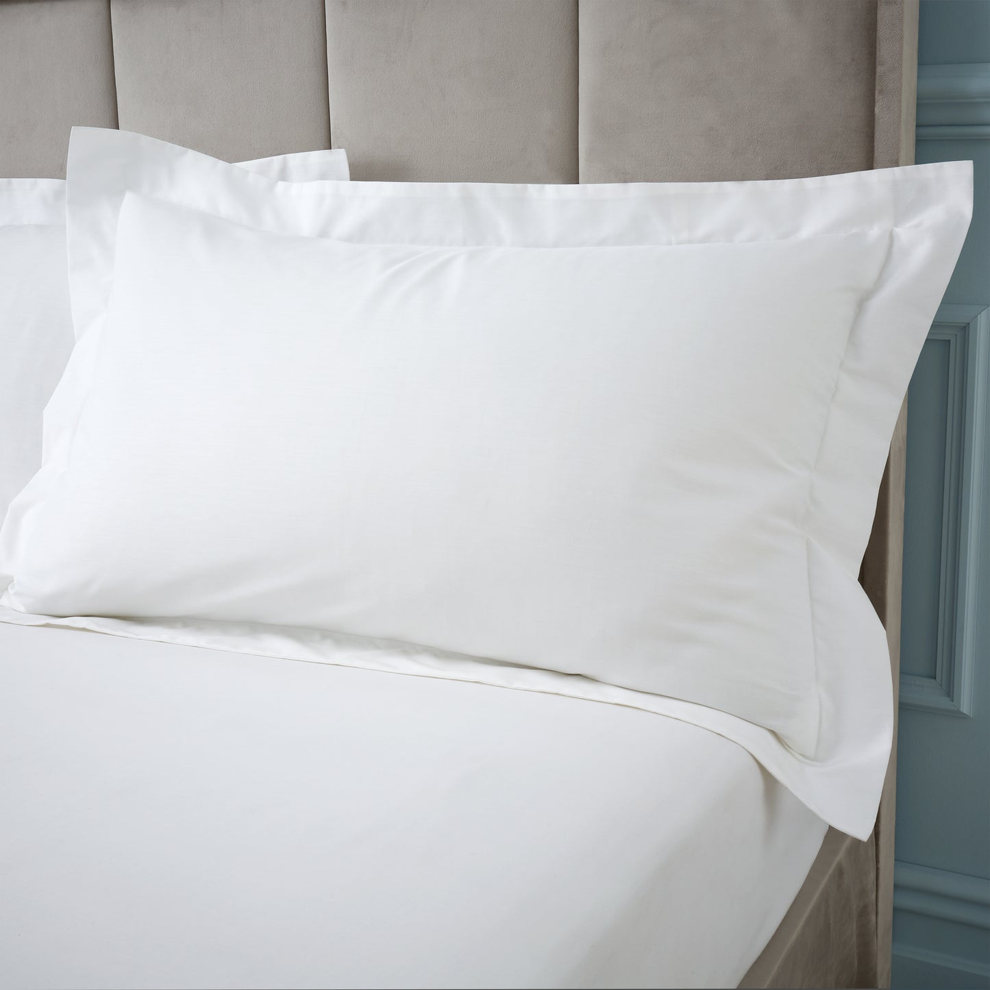 Bianca 180TC Egyptian Cotton Fitted Sheet - White