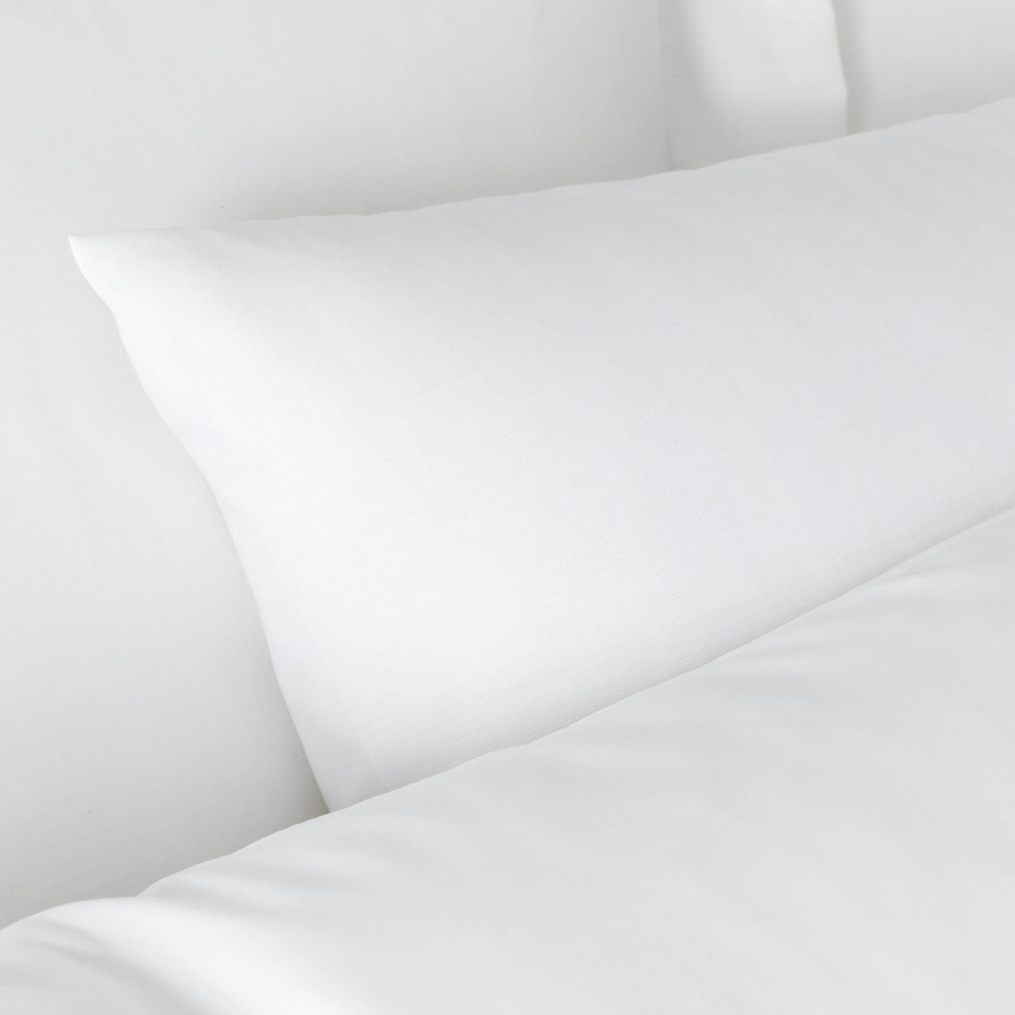 Bianca 180TC Egyptian Cotton Fitted Sheet - White