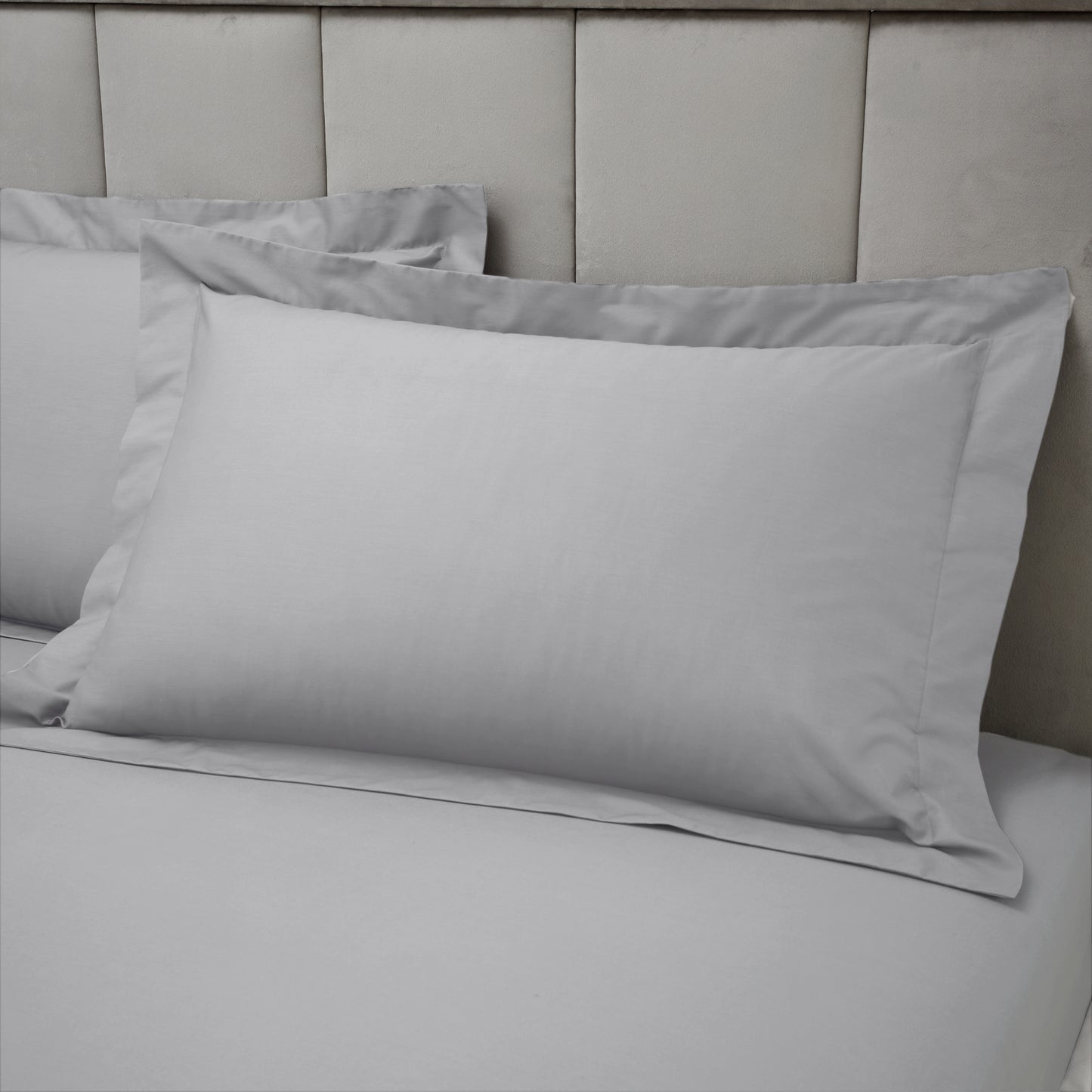 Bianca 180TC Egyptian Cotton Fitted Sheet - Silver