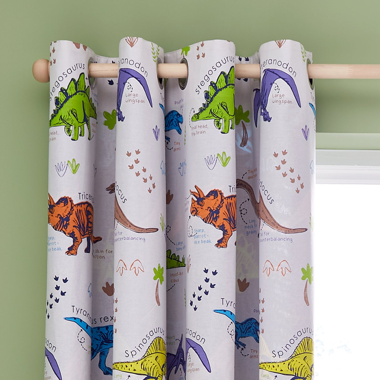 Catherine Lansfield Prehistoric Dinosaurs Eyelet Curtains