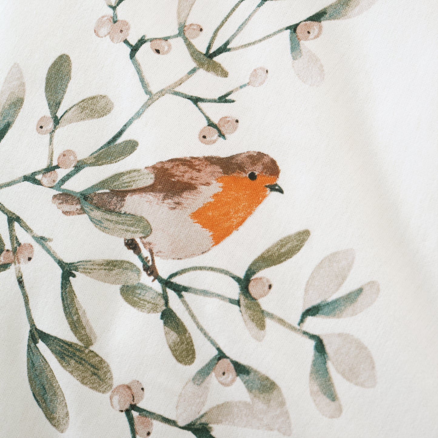 Catherine Lansfield Brushed Mistletoe Robins Duvet Cover Set