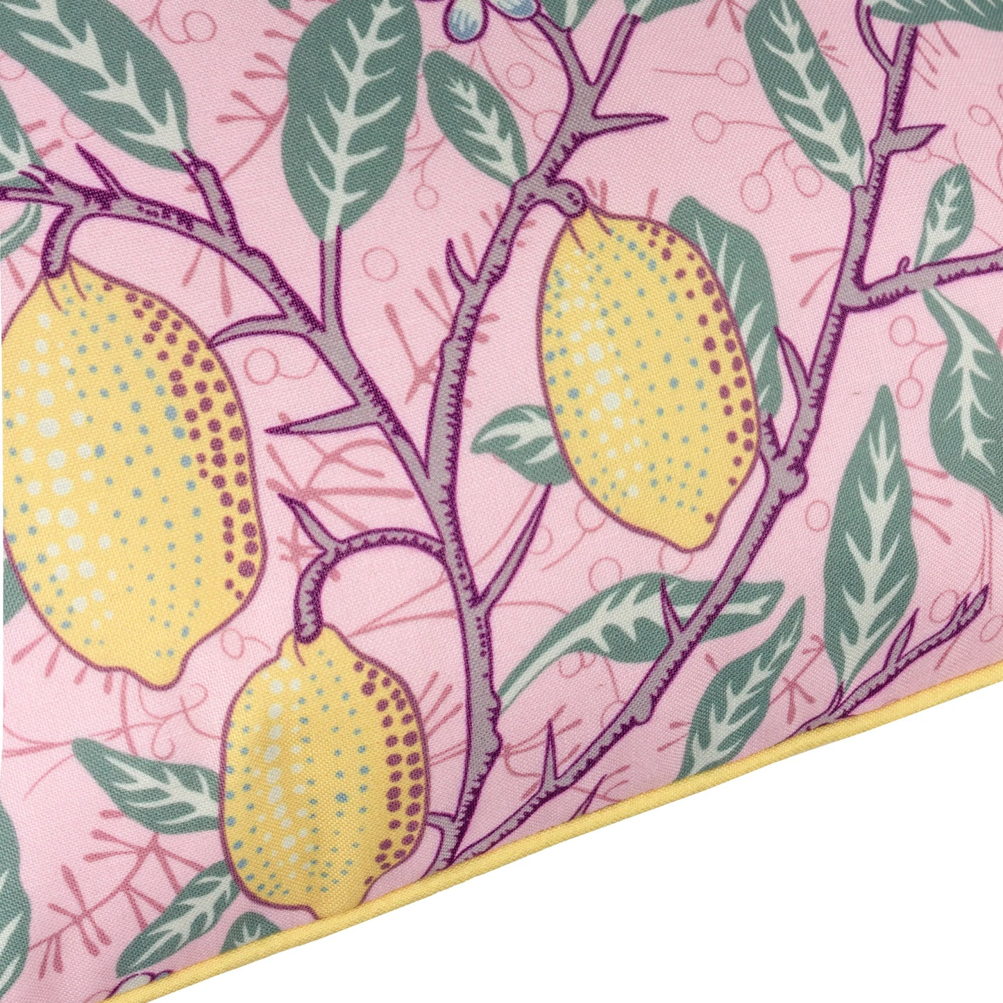 Morris & Co Fruits Outdoor Cushion - Pink/Lemon