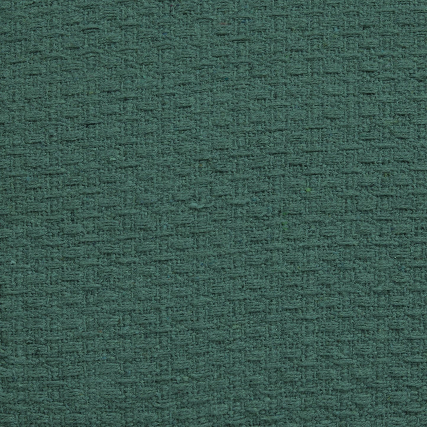Hayden Cushion by Drift Home in Green 43 x 43cm - Cushion - Drift Home
