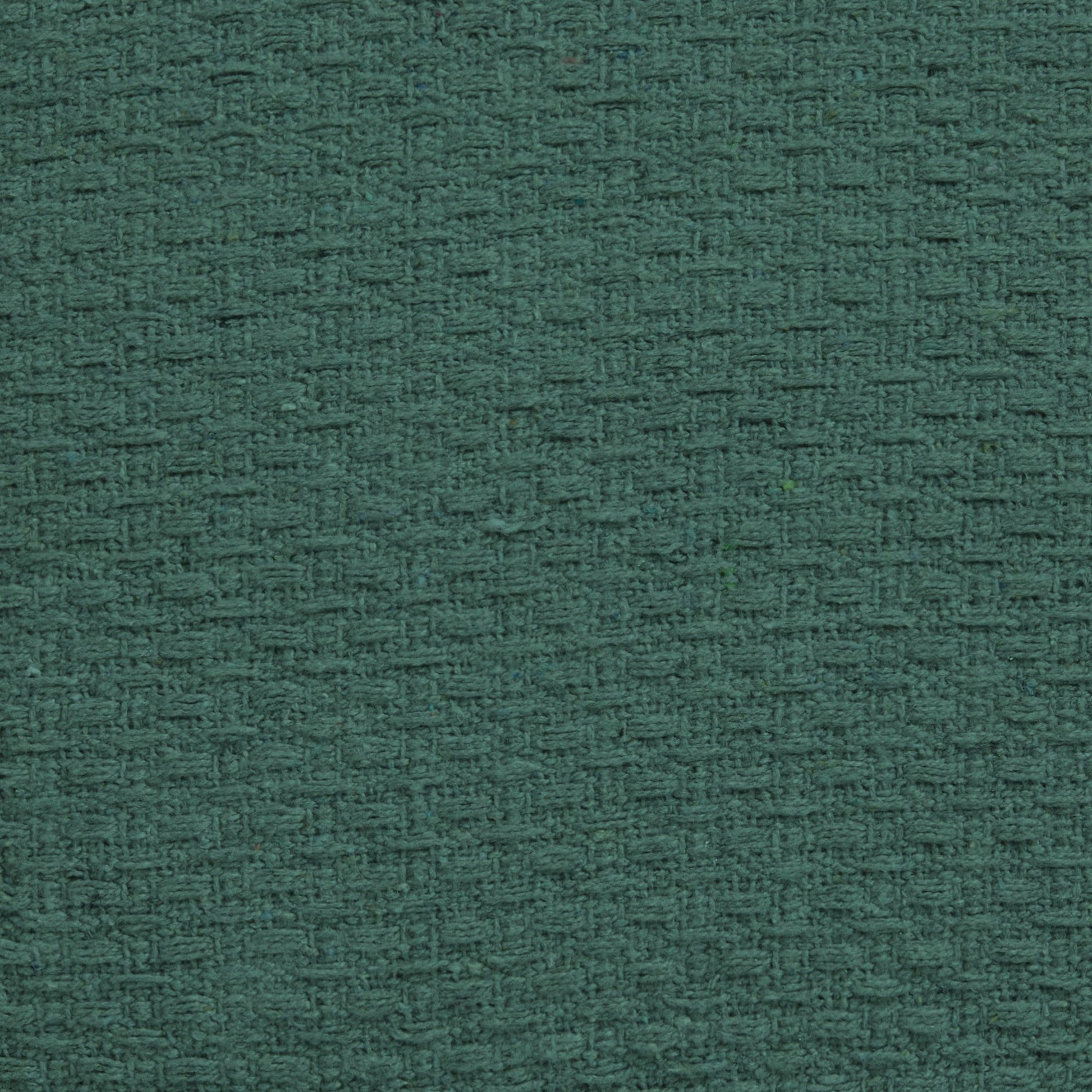 Hayden Cushion by Drift Home in Green 43 x 43cm - Cushion - Drift Home