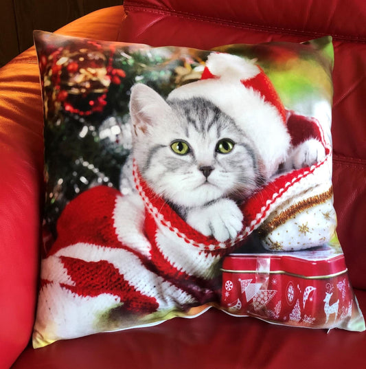 Alan Symonds Christmas Velvet Cat Filled Cushion