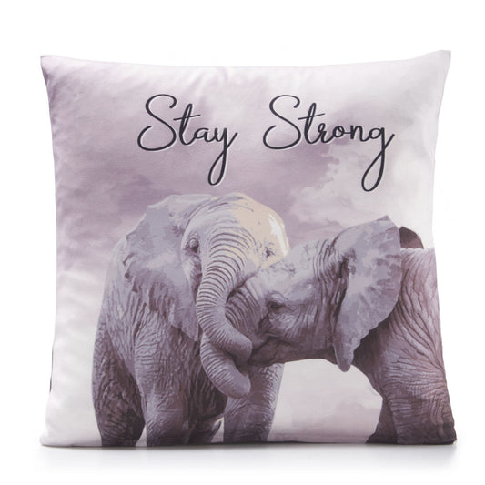 Alan Symonds Inspiration Filled Cushion - Strong
