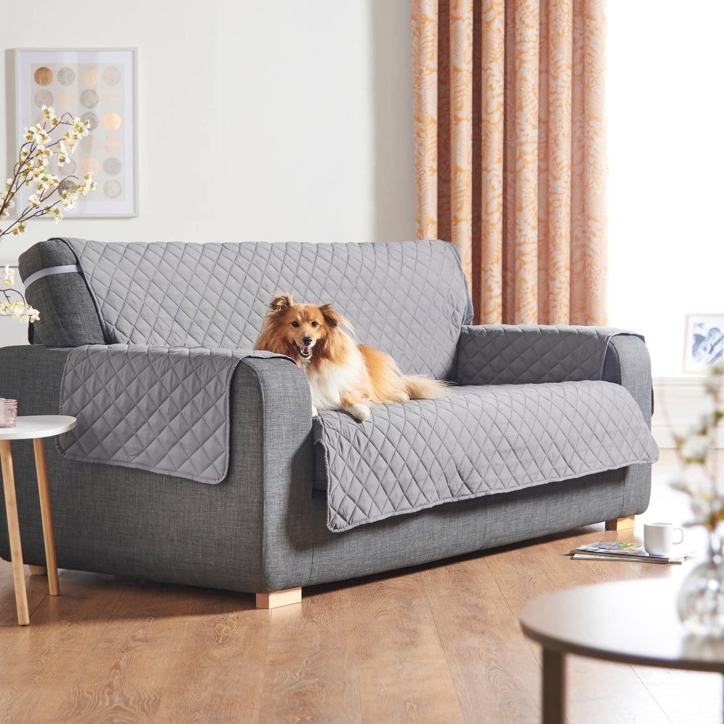 Alan Symonds Pet Sofa Cover