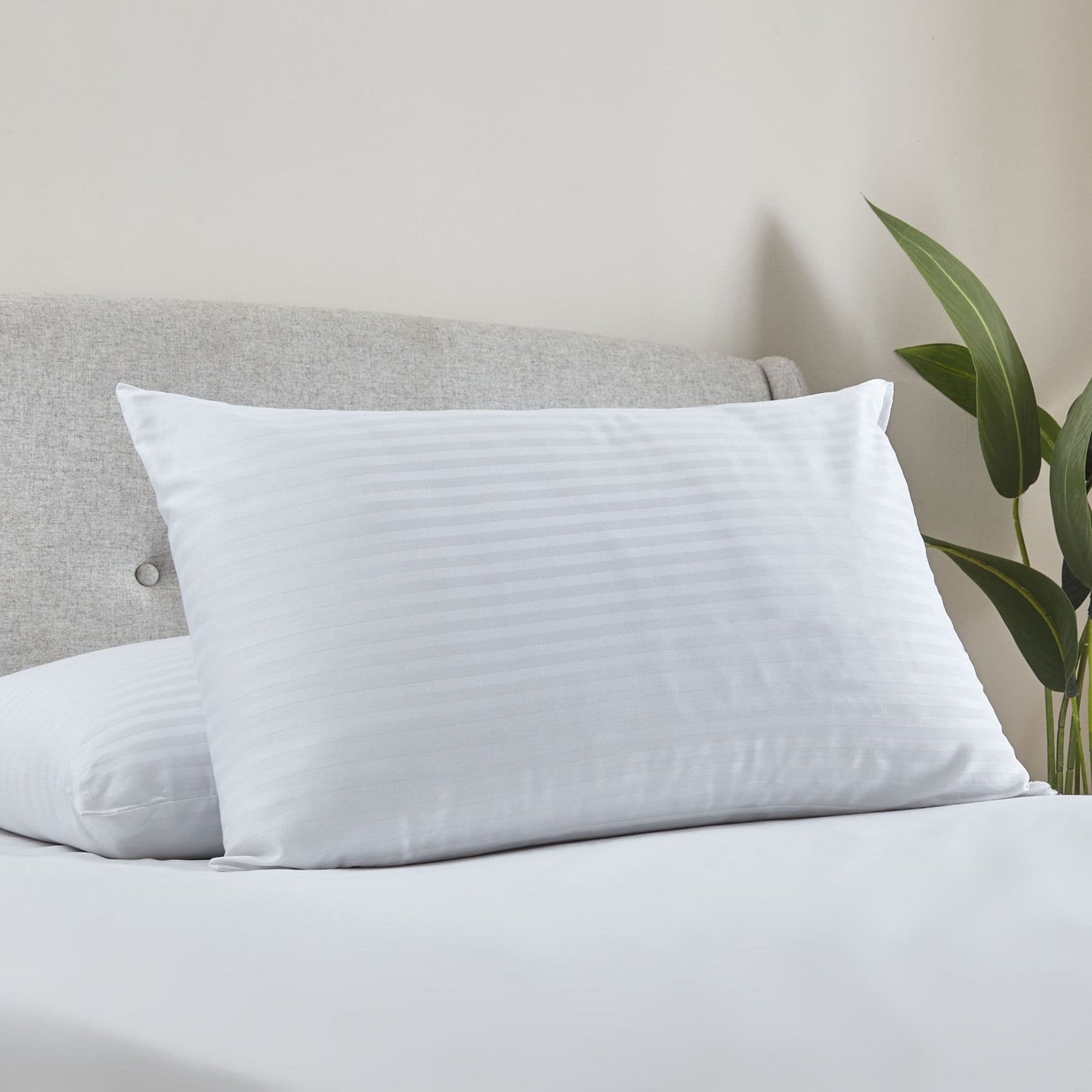 Catherine Lansfield Luxury Hotel Pillows (Pair)