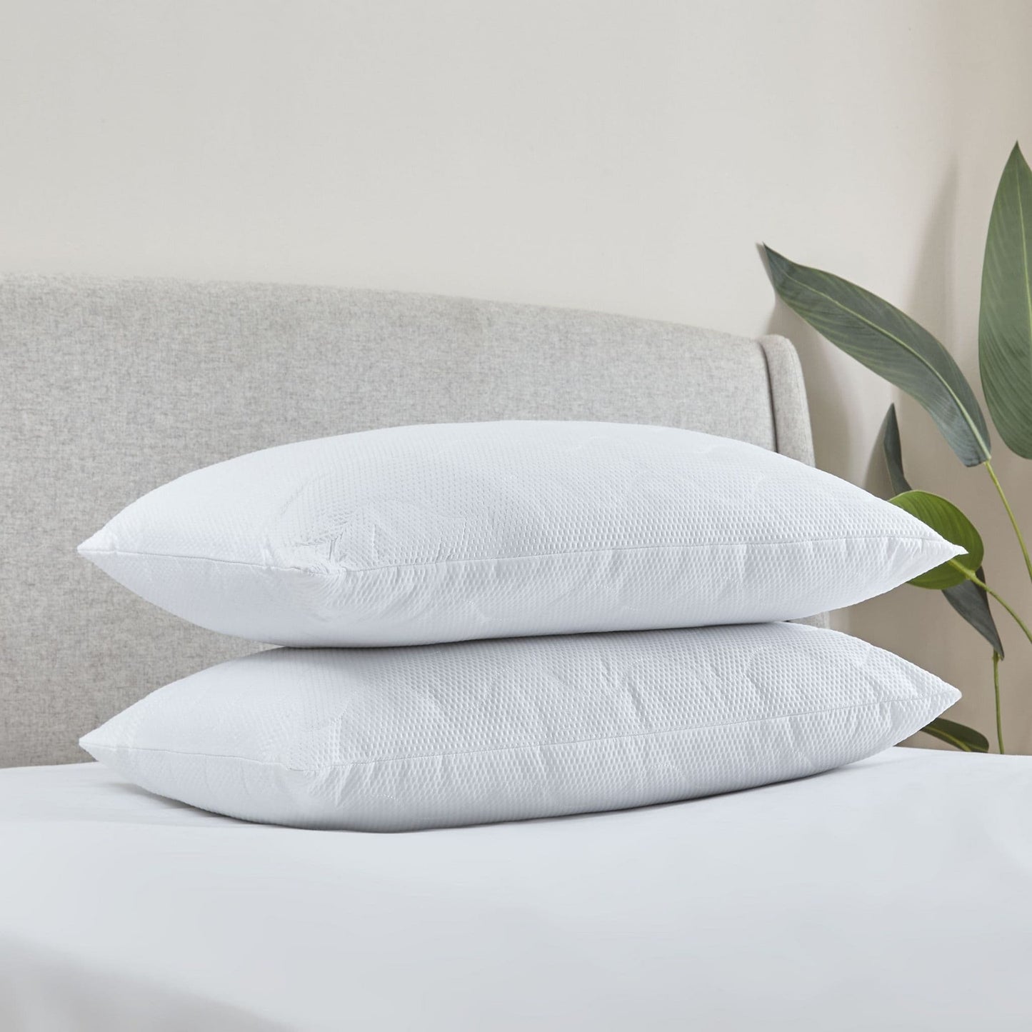 Catherine Lansfield Soft Touch Quilted Pillows (Pair)