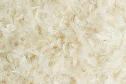 Hallis Rectangular Superfill Feather Cushion Pads (Pack of 2) - 81cm x 33cm
