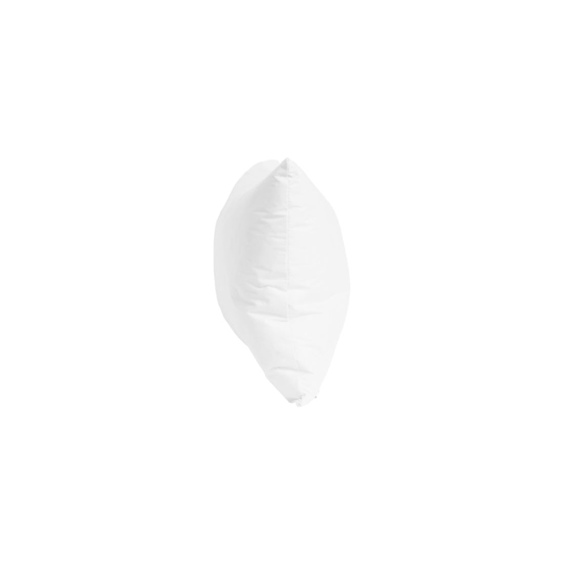 Jones Micro Loft Cushion Pads (Pack of 2) - 51cm x 30cm