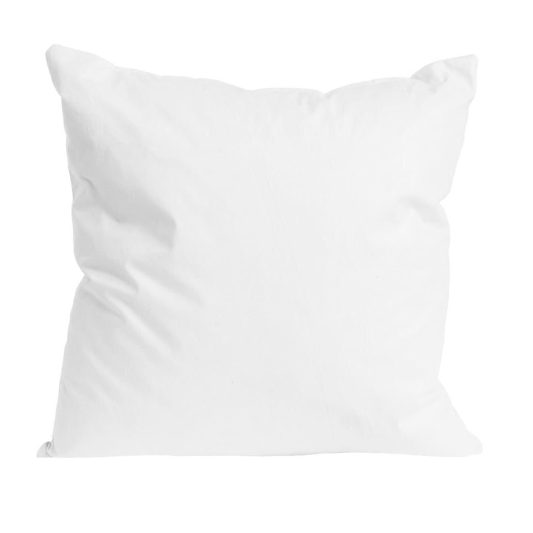 Jones Micro Loft Cushion Pads (Pack of 2) - 66cm x 66cm