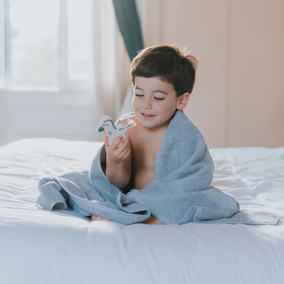 Torres Novas Almonda Bath Towels - Silver Grey